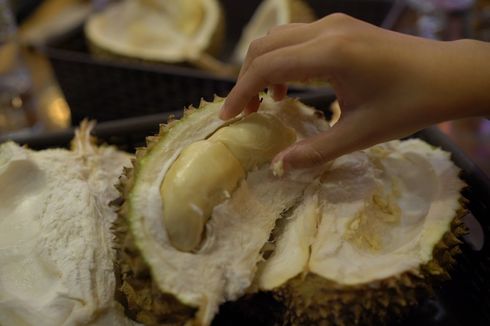 Cara Pilih Durian yang Masih Bagus dari Kulit dan Tangkai