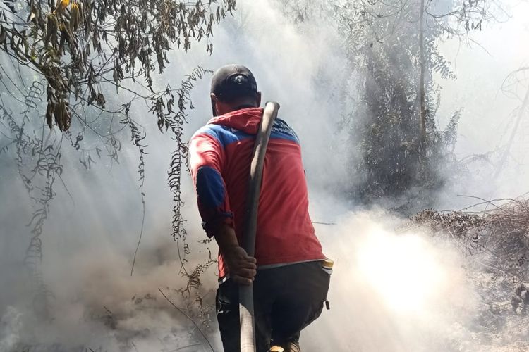 Karhutla di Kotim Capai 11 Hektar, BPBD Jinakkan Api di Kawasan Bandara H Asan Sampit