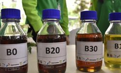 Bisakah Biodiesel dan Bioetanol Indonesia Jadi Solusi Harga BBM Mahal, Imbas Konflik AS-Israel Vs Iran? 
