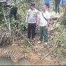 Polisi dan BKSDA Selidiki Temuan Harimau Mati di Mukomuko Bengkulu