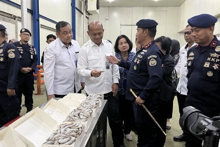 KKP Awasi 1.000 Ton Udang Impor di Jatim, Gandeng Ditjen Pajak