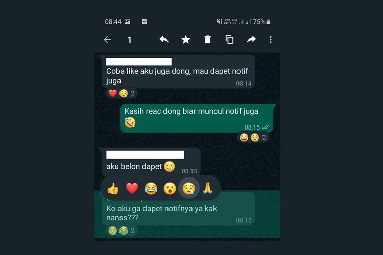 Ilustrasi fitur WhatsApp Reaction di Indonesia