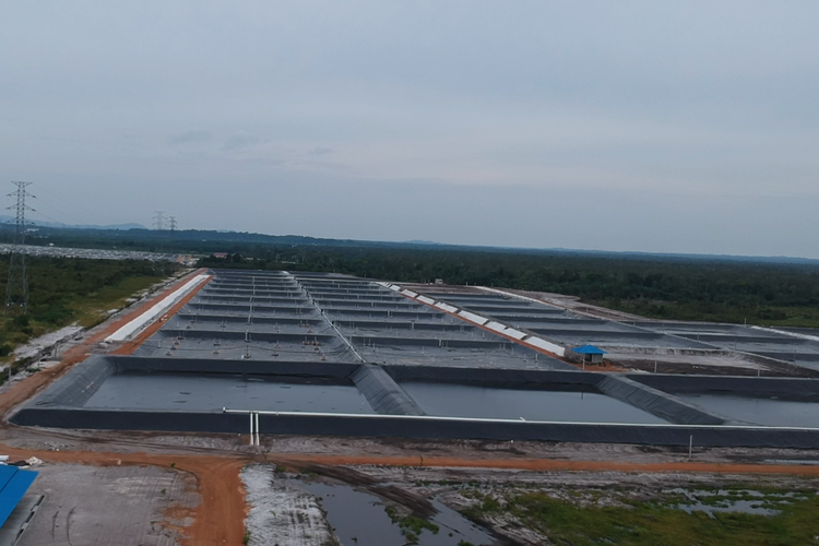 Tambak udang yang baru dibuka di Koba, Bangka Belitung, Kamis (6/1/2022).