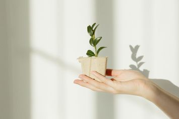 Damaikan Hati dan Pikiran, Berikut Cara Hidup Minimalis yang Bisa Dipraktikkan