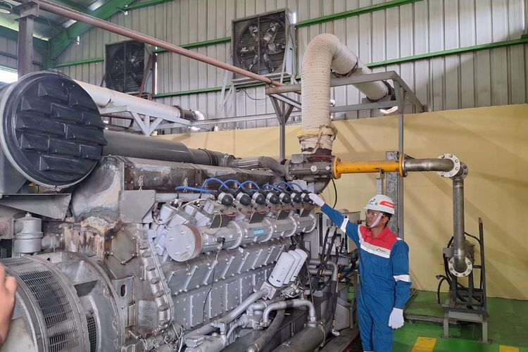 Gunakan Limbah Sawit, Pertamina NRE Bakal Garap Proyek Biometanol di KEK Sei Mangkei