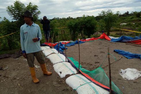 2 Kerbau Mati Setelah Minum Air yang Diduga Tercemar Sianida