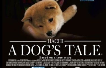 7 Film Mengharukan Persahabatan Anjing dan Manusia, Siap Banjir ...