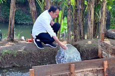 Momen Jokowi Duduk Jongkok Cek Air Hasil Pompanisasi di Karanganyar 