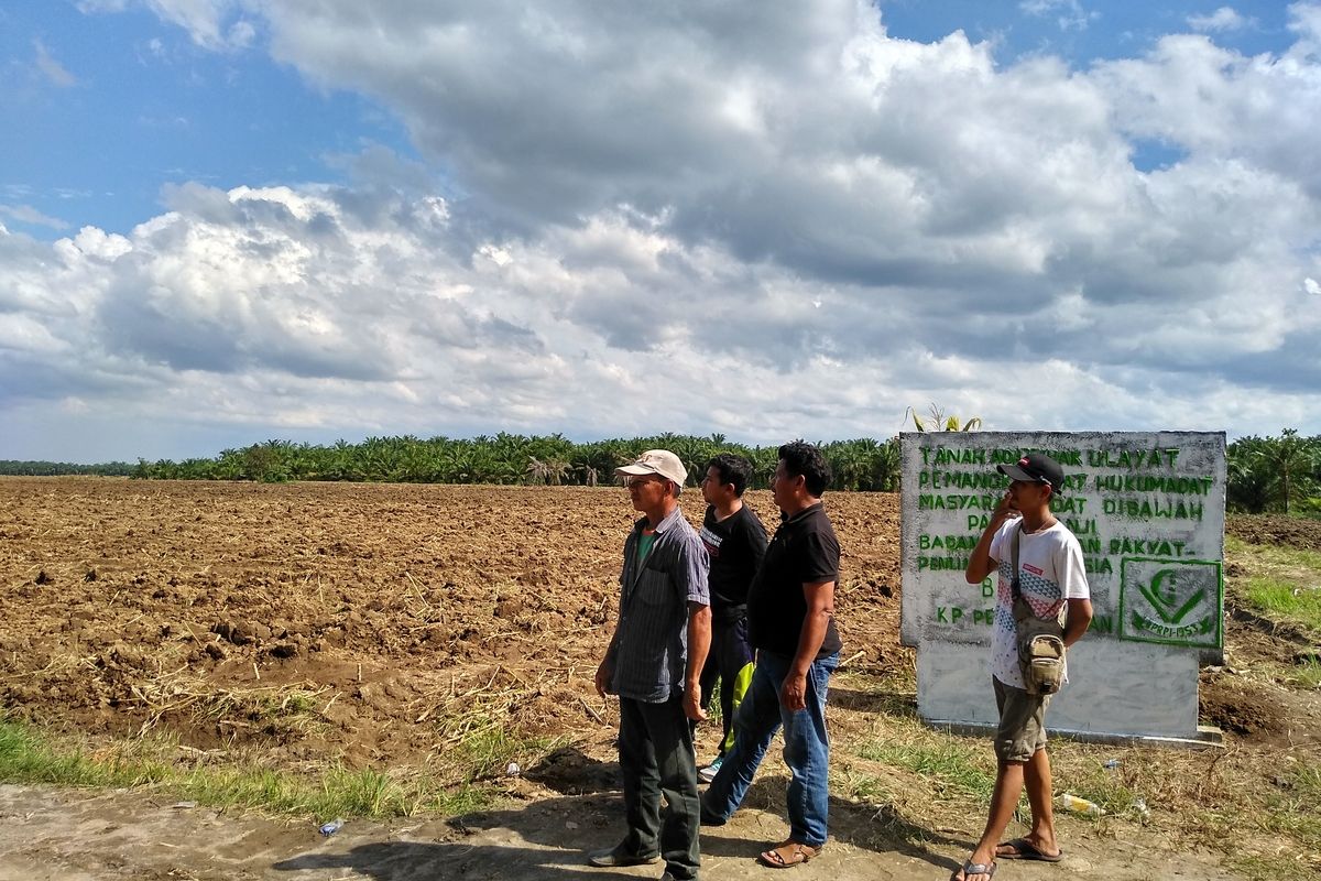 Sejumlah warga anggota BPRPI Kampung Pertumbukan masih berkerumun di lahan yang jagung yang sudah diratakan dengan alat berat. Pihak PTPN II menyatakan bahwa lahan tersebut merupakan lahan HGU milik PTPN II dengan Sertifikat Nomor 3 seluas 1530,71 hektare yang berakhir 2028. Di saat yang sama, BPRPI menyatakan lahan tersebutv adalah tanah adat/ulayat BPRPI.