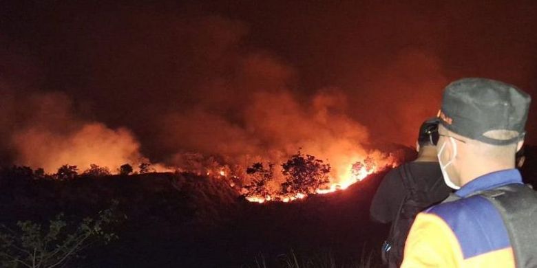Api membakar hutan dan lahan (karhutla) kawasan Gunung Bromo.