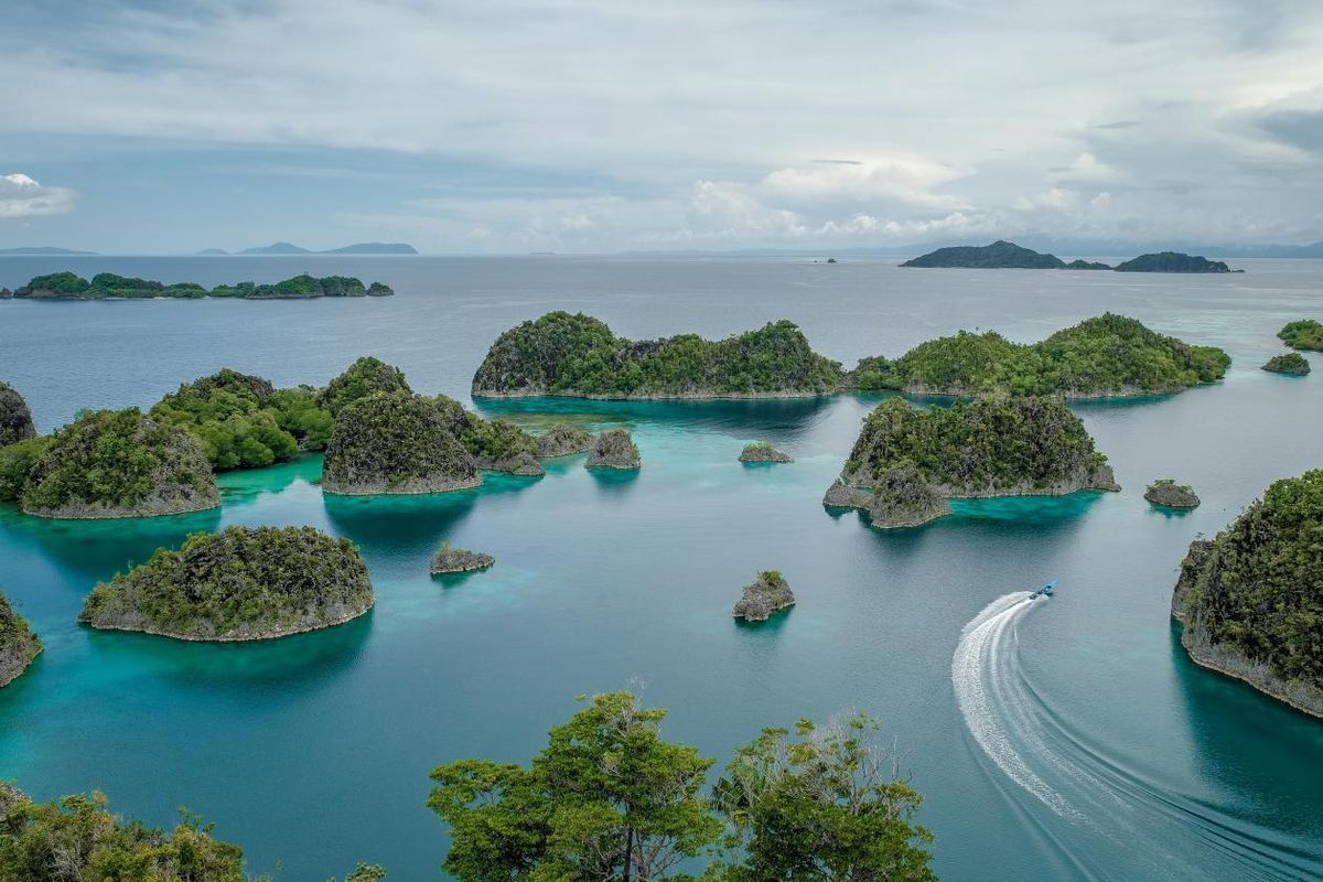 Ilustrasi pemilik tambang nikel Raja Ampat.