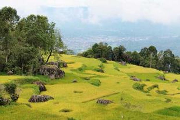 Panorama kota Rantepao di Kabupaten Toraja Utara, Sulawesi Selatan, memesona dengan udara yang sejuk. Pemandangan itu dapat dinikmati dari Batumonga yang terletak di lereng Gunung Sesean dengan ketinggian 1.300 meter di atas permukaan laut.
