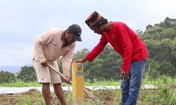 Tak Boleh Sembarangan, Begini Ukuran Patok Bidang Tanah