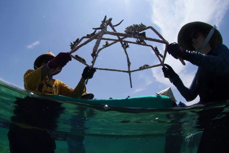 Masyarakat Bontosua ikut restrasi terumbu karang