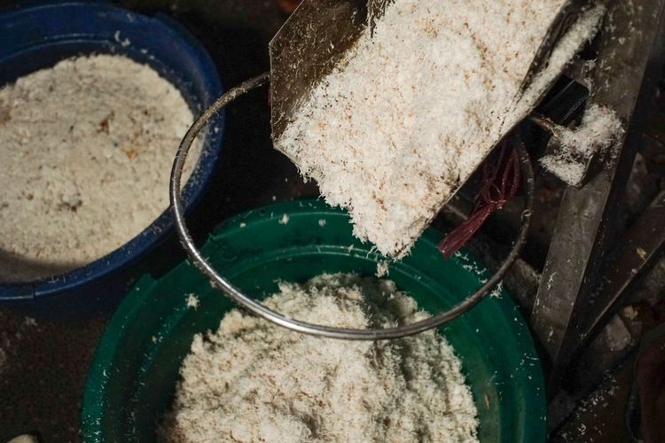 Grated coconut as a basic ingredient for making dodol and basket cakes at the Ny Dodol and Cake production house. Lauw (LKW), in Tangerang, Banten, Friday (17/1/2025).