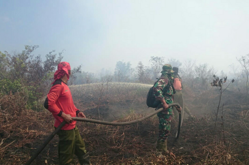 Luas Karhutla di Riau Sejak Januari Mencapai 1.938 Hektar