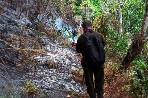 Kebakaran Hutan Gunung Lawu Diduga karena Aktivitas Pembuatan Arang