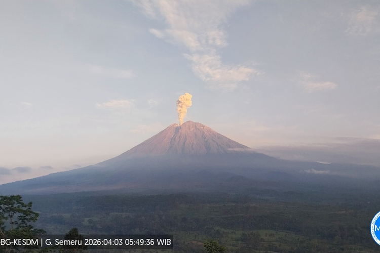 Gunung Semeru Erupsi 6 Kali, Semburkan Asap Setinggi 1,2 KM