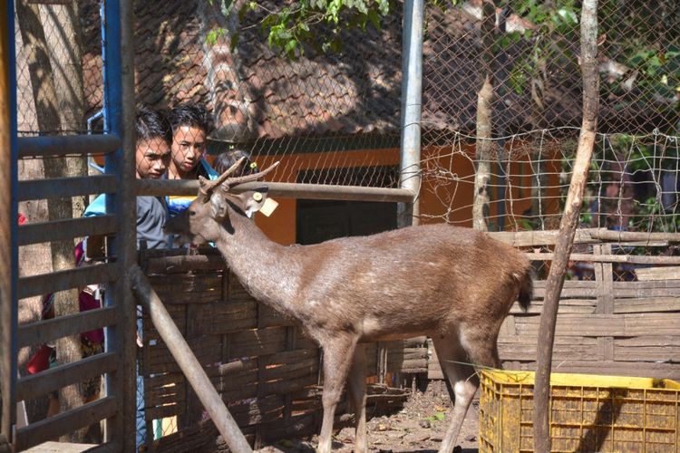 Hutan Kota Trenggalek