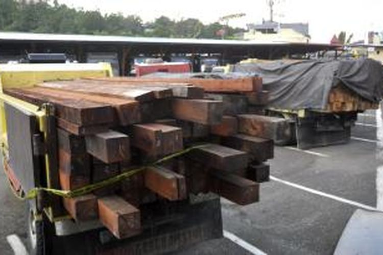 Sejumlah truk pengangkut kayu hasil pembalakan liar diamankan di Mapolda Papua. Umumnya kayu ini jenis Merbau yang punya nilai jual tinggi.
