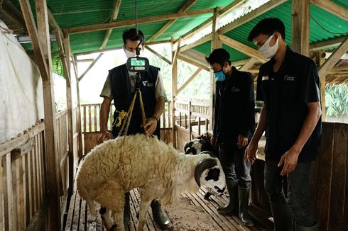 Pastikan Amanah Pekurban Terpenuhi, Dompet Dhuafa Gelar 