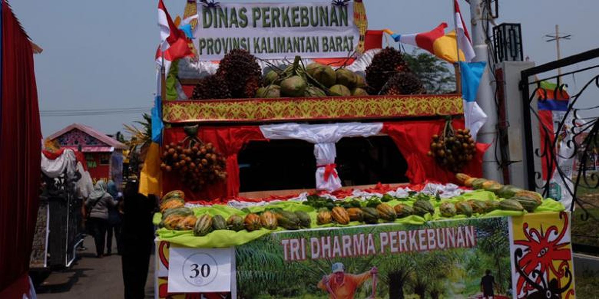 Dari Sapi Sampai Burung Enggang Meriahkan Karnaval Khatulistiwa