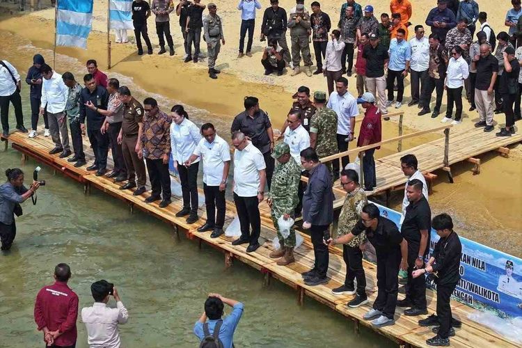 Penebaran Nila di Danau Poso Dinilai Keliru, Spesies Endemik Terancam