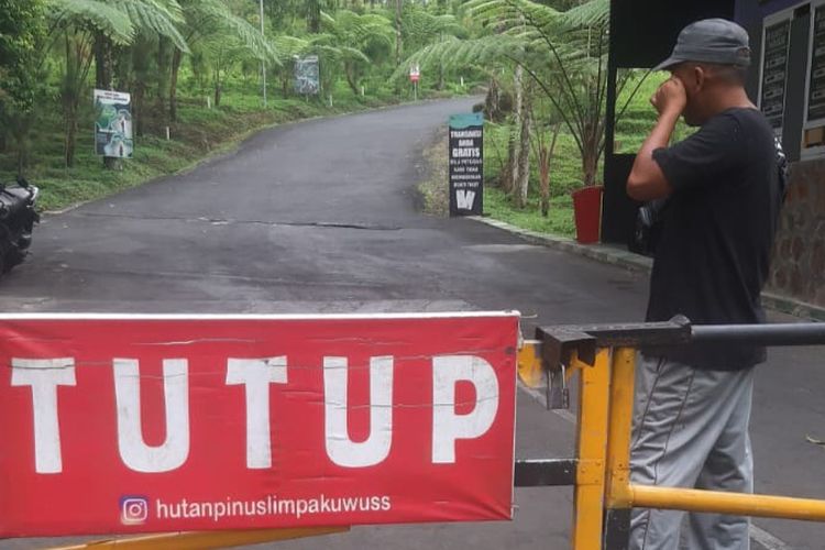 Pintu gerbang menuju kawasan Hutan Pinus Limpakuwus, Kabupaten Banyumas, Jawa Tengah.