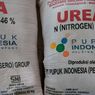 Pupuk Bersubsidi Difokuskan Jadi NPK dan Urea, Rektor Universitas Dwijendra: Sudah Tepat