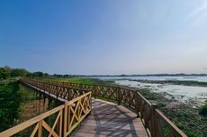 5 Tips Berkunjung ke Jembatan Kayu Waduk Cengklik, Datang Pagi