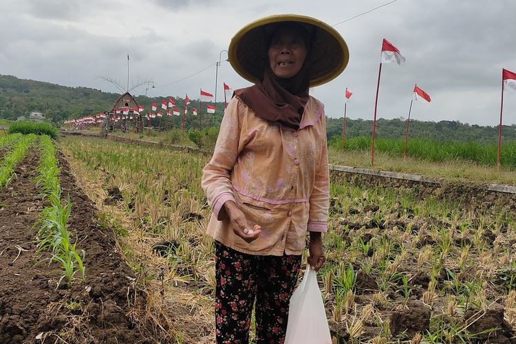 Bendera Merah Putih berbaris membelah areal sawah Pedukuhan Dobangsan, Kalurahan Giripeni, Kapanewon Wates, Kabupaten Kulon Progo, Daerah Istimewa Yogyakarta. Ribuan bendera berdiri di kawasan pedukuhan ini setiap Agustus.