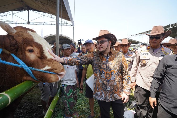 Populasi Sapi Kediri Tembus 216.000 Ekor, Mas Dhito Bidik Predikat Kontes Ternak Terbaik se-Jatim