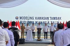 Jokowi Resmikan Modeling Budidaya Ikan Nila Salin di Karawang