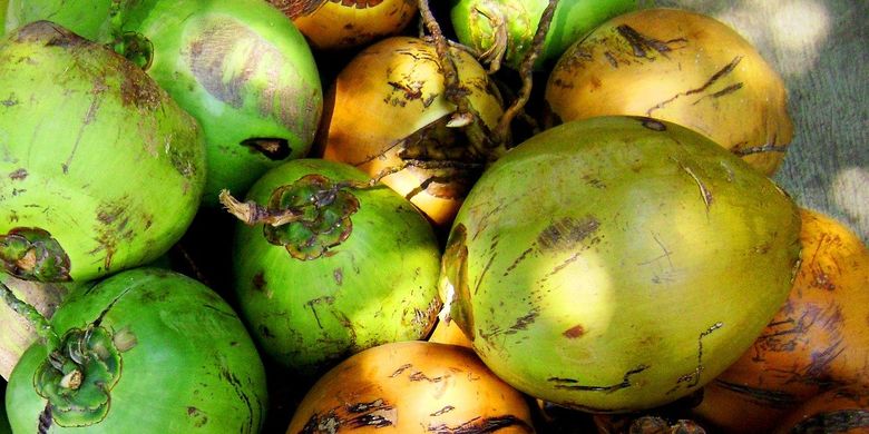 16++ Mimpi melihat buah kelapa di pohon information