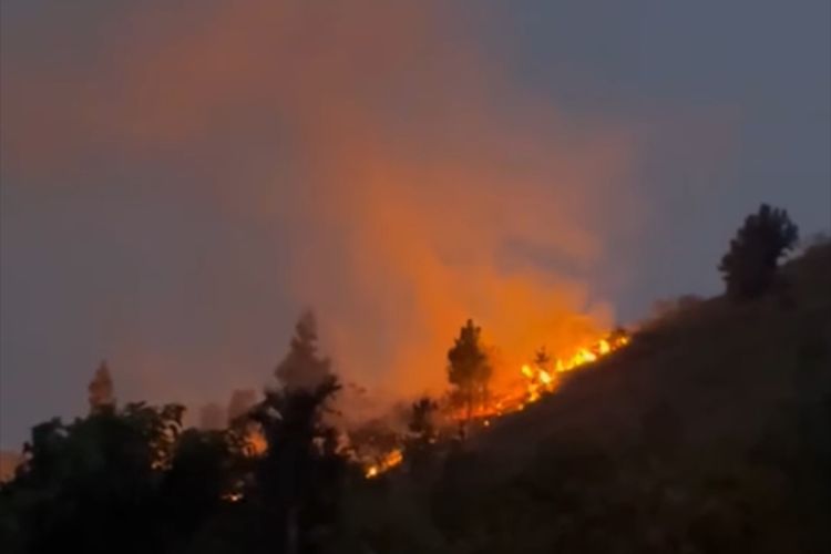 Dampak Musim Kemarau di Sumbar, 2 Hektar Lahan Produktif di Solok Hangus Terbakar