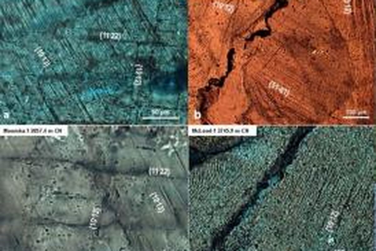 Banyak pihak yang ingin mengetahui dampak asteroid pada kepunahan dinosaurus.