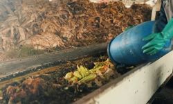 Dari Sampah Jadi Berkah, Saat Anak Muda di Kudus Sulap Limbah Jadi Kompos