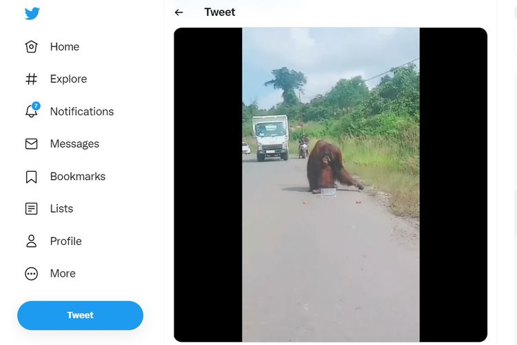 Tangkapan layar orangutan di pinggir jalan raya Kalimantan Timur