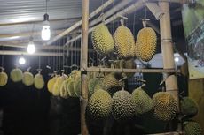 Durian Asli Lasem dengan Rasa Pahit-Manis...