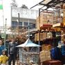 Sejarah Pasar Burung Sukahaji Bandung, Surga Para Kicaumania