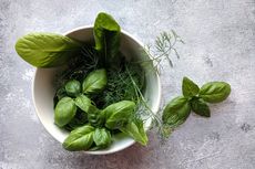 6 Bahan Pengganti Basil untuk Masakan yang Mudah Didapat