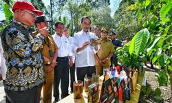 Jokowi dan Mentan Pacu Produksi Kopi dan Peningkatan Kesejahteraan Petani di Lampung Barat