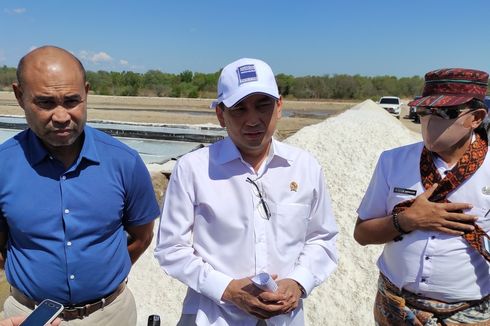 Mendag Sebut Garam Asal NTT Bisa Kurangi Impor Garam Nasional