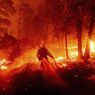 Belasan Korban Terbakar Hidup-hidup di Mobil dan Jalanan Akibat Kebakaran Hutan California 