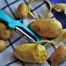 Jangan Dibuang, Ini 6 Manfaat Kulit Kentang untuk Tanaman