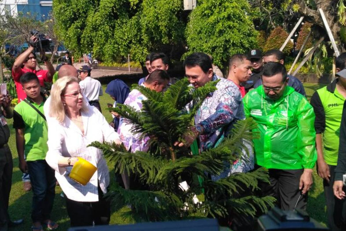 Gubernur DKI Jakarta Basuki Tjahaja Purnama (Ahok) menanam pohon bersama Duta Besar Finlandia Päivi Hiltunen-Toivio di Taman Menteng, Jakarta Pusat.