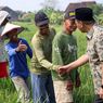 388 Hektare Lahan Pertanian Terdampak Banjir Grobogan, Pemprov Jateng Salurkan 13.625 Kg Benih Padi
