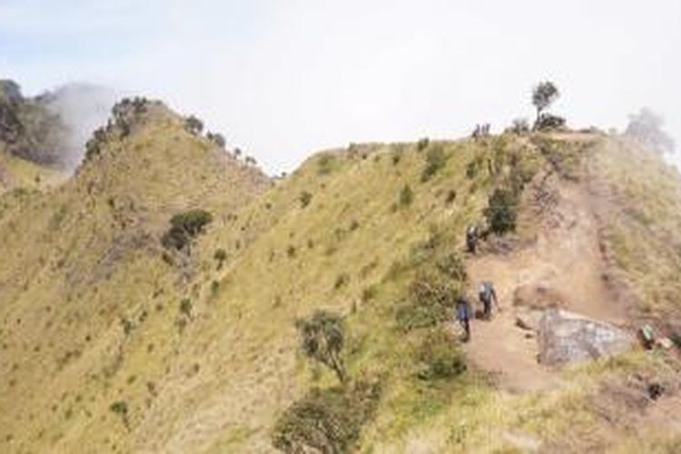 Jalur pendakian menuju Puncak Merbabu dilihat dari Puncak Syarif, 3.119 mdpl. Jalur terlihat seperti beberapa punuk unta yang bergabung. 