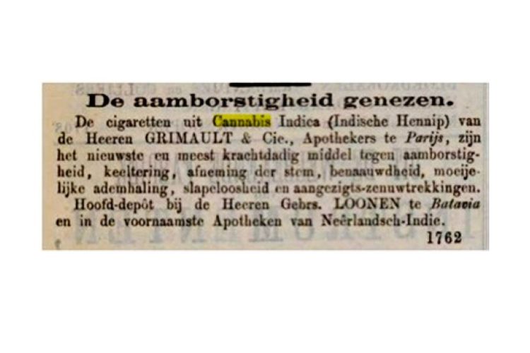 Deskripsi tentang ganja dalam buku HE Rumphius berjudul Herbarium Amboinense.