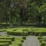 Kebun Raya Bali Revitalisasi Taman Begonia, Bangun Rumah Kaca yang Luas